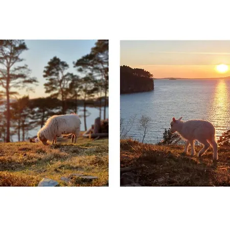 Bright And Peaceful Cabin With An Amazing View On An Island Near Bergen * Nordstrono